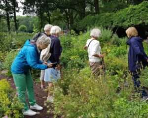 stadsdorp zuid 21. de tuinkring is samen in de tuin